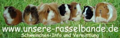 Banner: www.unsere-rasselbande.de